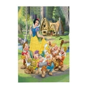 300 Piece Wooden Puzzles Snow Whi-t Jigsaw Puzzles for Adults Kids, Perfect Family Leisure Game